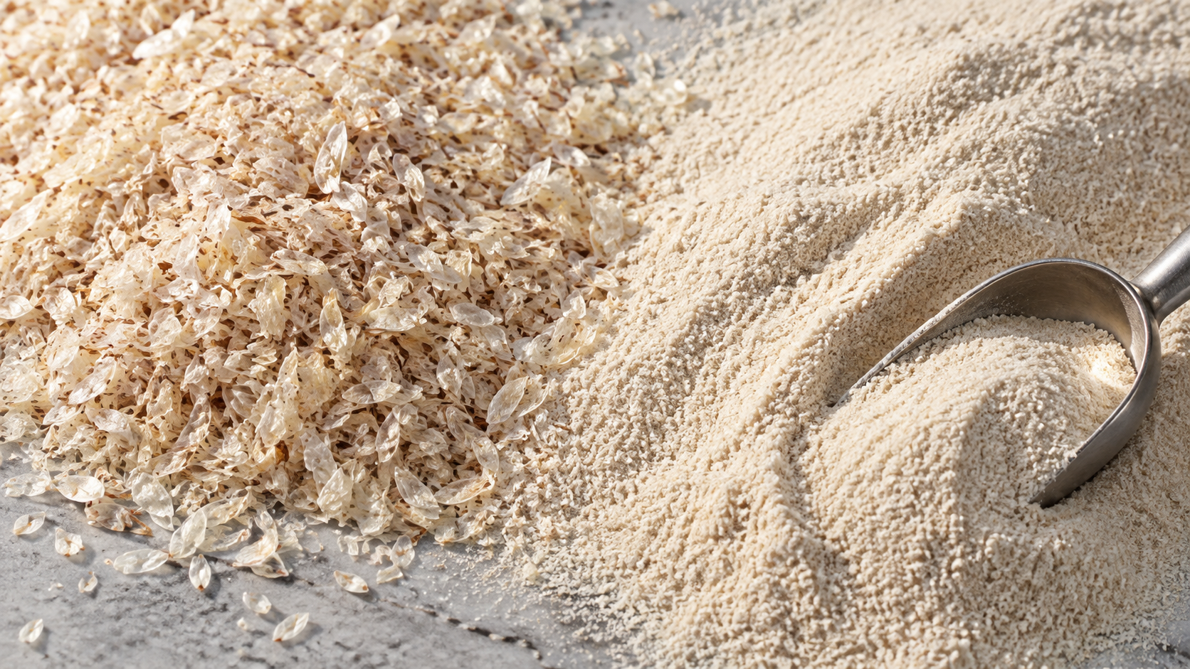 Systler introductory buyer guide to psyllium husk as a bulk ingredient