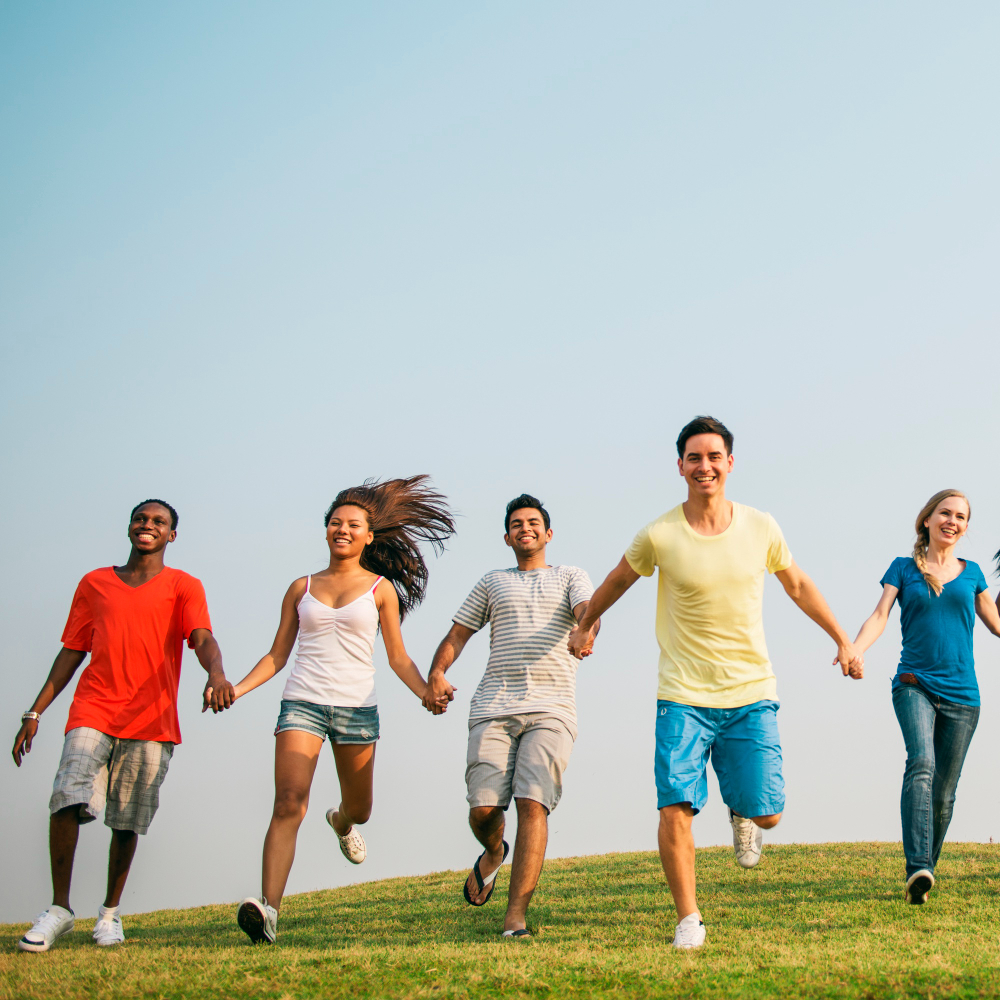 Systler product sourcing and quality process