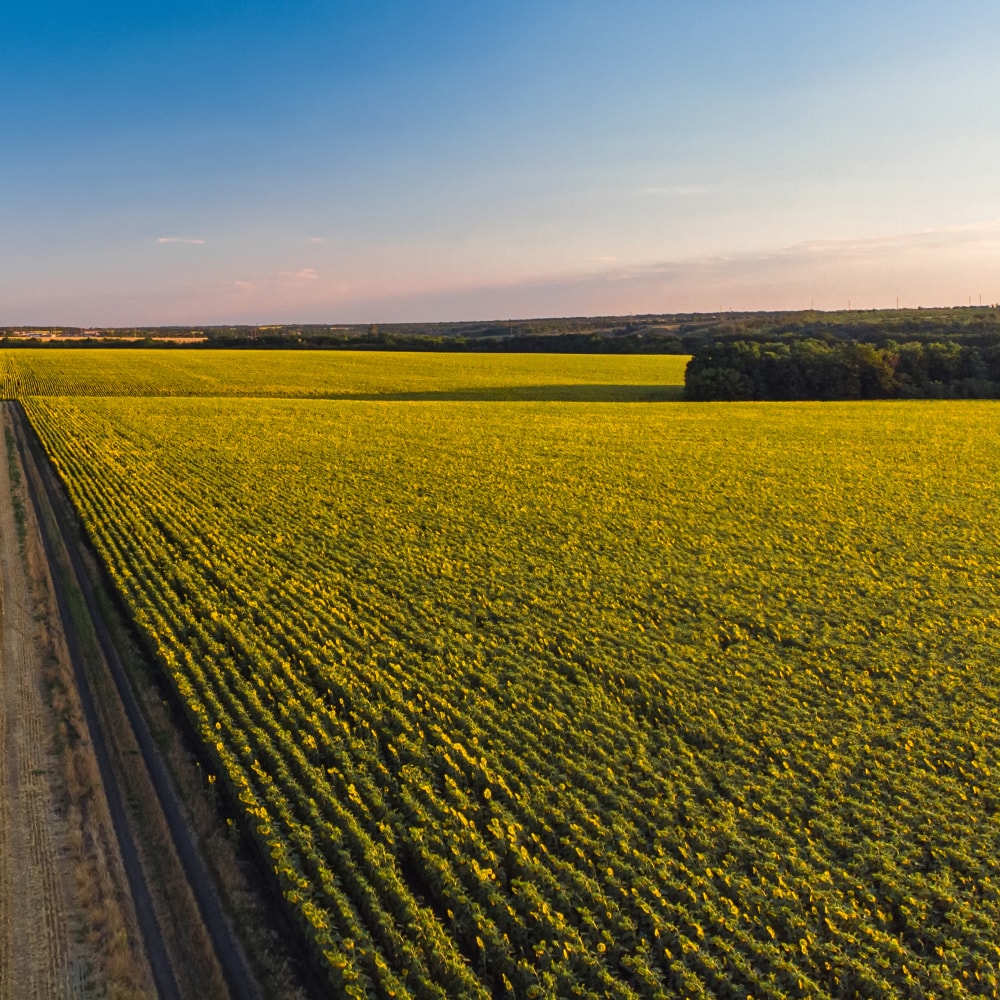 Systler product sourcing and quality process